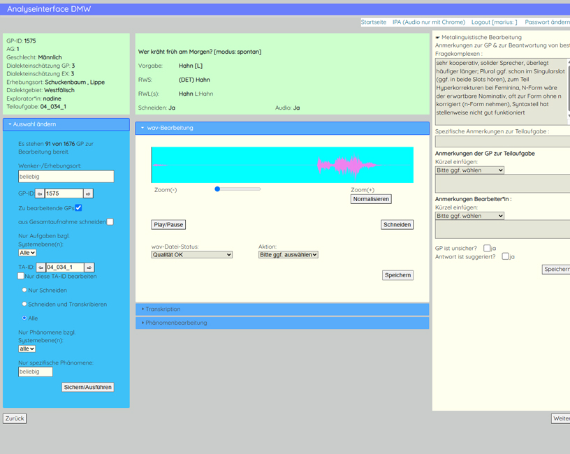 Analyseinterface des DMW-Projekts: Beim vorliegenden Ausschnitt geht es um die Bearbeitung des Ausdrucks Hahn 