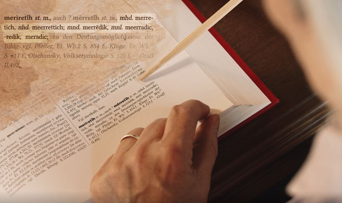 Der Eintrag meriretih im Althochdeutschen W&ouml;rterbuch mit dem Artikelkopf