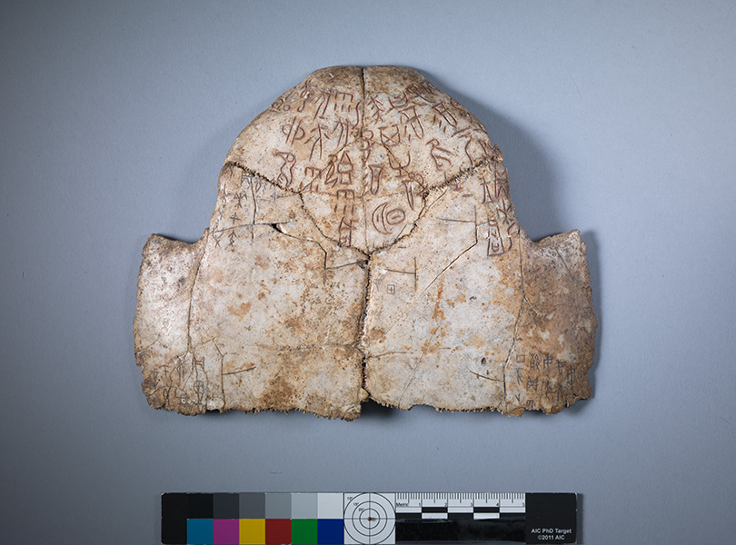 Orakelknochen. Beschrifteter Schildkr&ouml;tenpanzer