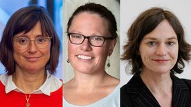 Collage Apelt, Michalowski und Schenk