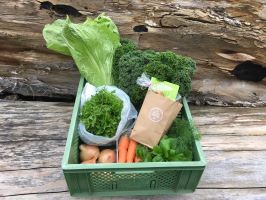 das Bild zeigt einen Ernteanteil vom Reisner Hof Datum: 12.11.2020 , Ort: Reisner Hof, 94148 Kirchham