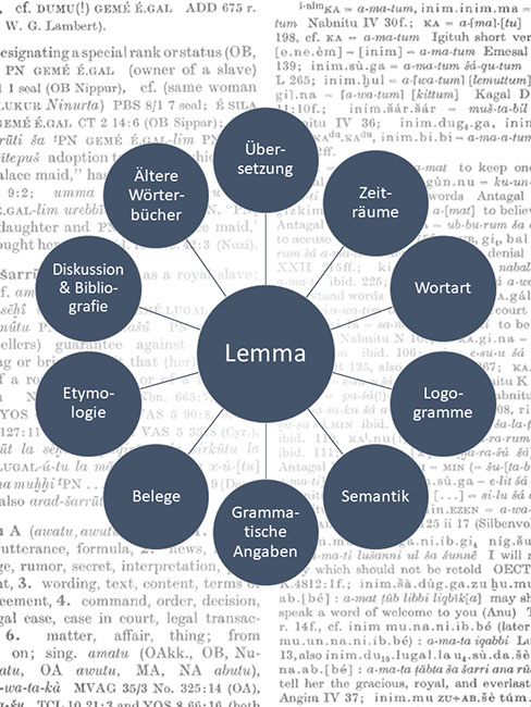 Visualisierung der verschiedenen Bestandteile eines W&ouml;rterbucheintrages im Leipzig Akkadian Dictionary.