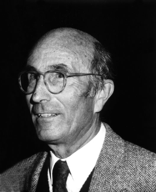 Niklas Luhmann Anfang der 1990 Jahre