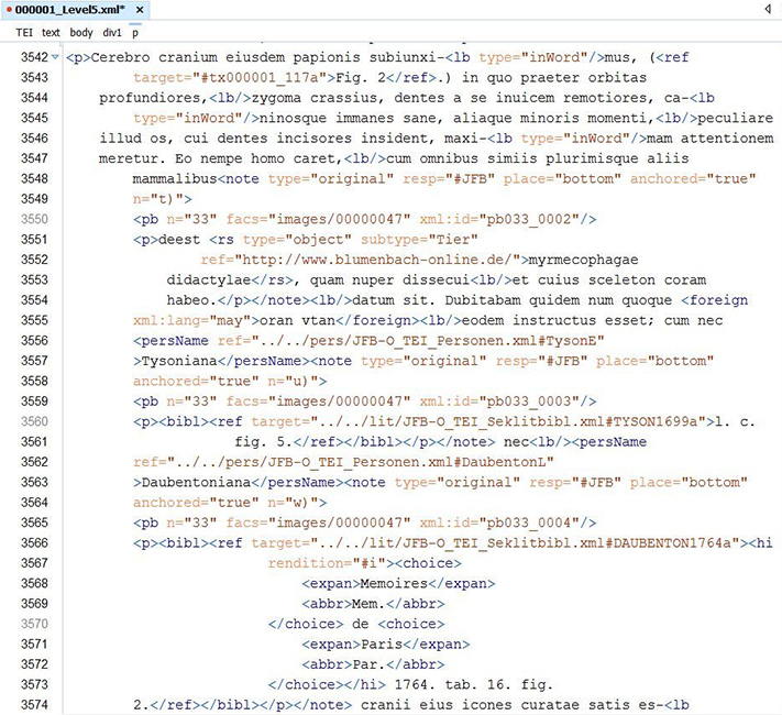 Text mit einkodierten Informationen