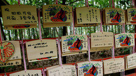 Link zu Special: Wer kommt, wer geht? Interview mit Dr. Ruth Achenbach über ihr Verbundprojekt zur Fachkräfte-Migration in Asien 