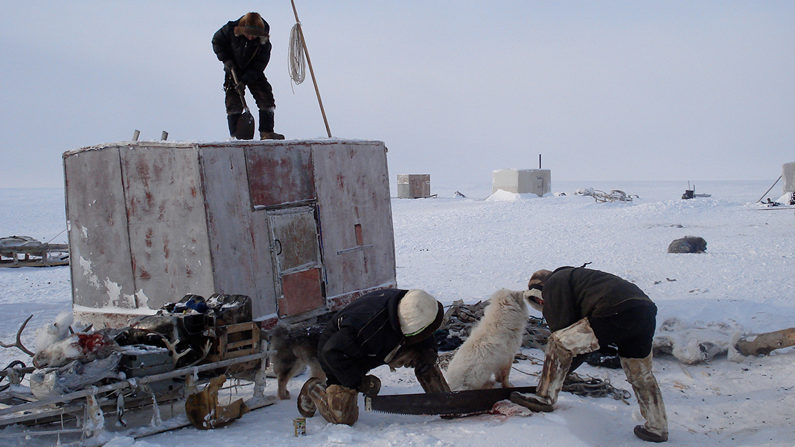 Rentierhaltung in Syndassko (Region Krasnojark, Russland)