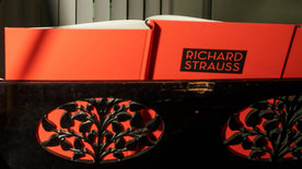 Link zum Artikel: VIDEO: Permanent Musik im Kopf